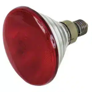 Lampara Infrarroja Par 38
